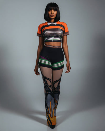 ASHLYN Printed Mesh Crop Top & Pants Set